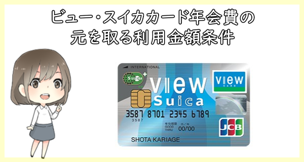ビュースイカ 定期 更新 ビュースイカ 定期 更新